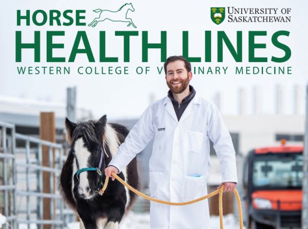 horse health lines canadian horse journal, western college veterinary medicine newsletter, wcvm equine courses, universities for veterinarians equestrians