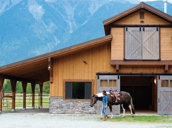 schooling horses, lindsay grice, how to practice for horse show, beginners exercises horse, side pass horse, trail obstacles horses, horsemanship, riding coach