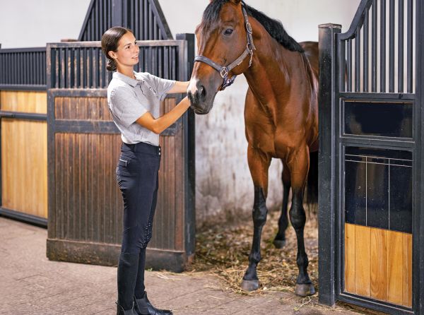 carrot exercises for horses, exercise therapy for horses, equine rehabilitation