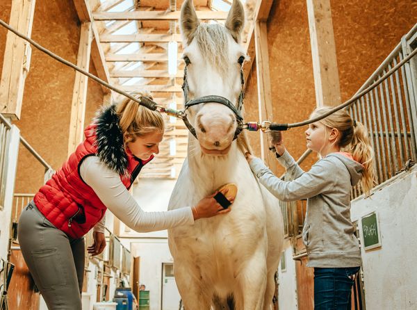 horse business parenting, equine entrepreneur parenting, children horse farm