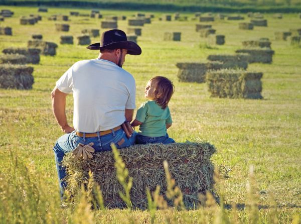 making hay for horses, first cut hay vs second cut hay, nikki alvin smith, how to store horse hay, mouldy hay horses, moist hay horses, preventing barn fires