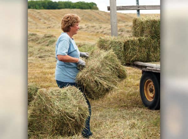 how to store horse hay, how to test horse hay, amino acids in horse hay, steam horse hay, hay fire, is brown horse hay okay