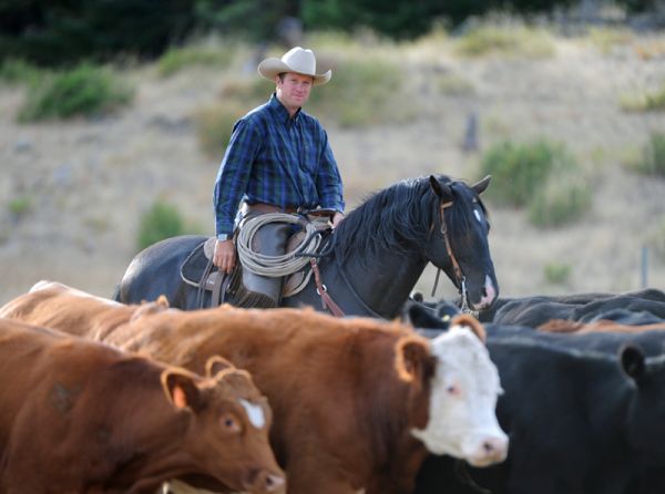 Jonathan Field, Jonathan Field Purpose Camp, Build Confidence in Your Horse, Cone on a Barrel horse exercise, horse jump over log, improve technical horse skills, horse obstacles, increase confidence in horse