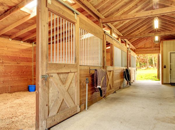 respiratory illness horses, dust management equestrian centre, horse farm dust, reducing dust for horses, dust and horses
