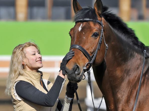 boarding schools for horses, choosing horse trainer, how to train horse, alexa linton, horse psychology, therapy horses