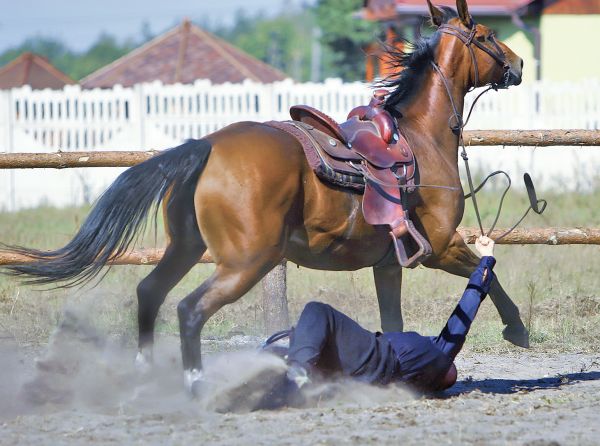 horse riding accidents, is riding horses dangerous? how dangerous are horses, falling off horse