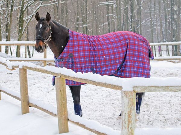 Horse Blankets, are Horse Blankets necessary, horse body temperature, buying a horse blanket, horse blanket do's and dont's, do horses need blankets