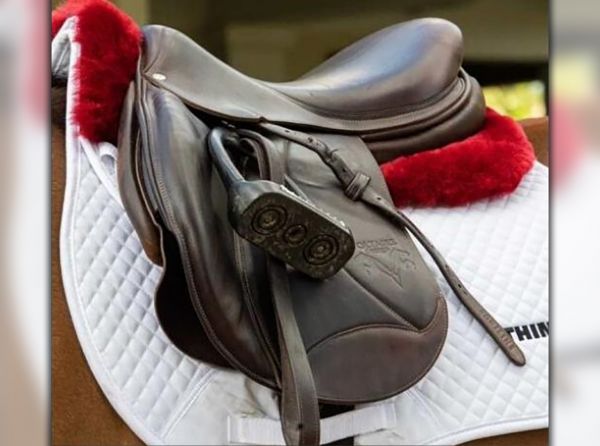 ThinLine Canada Trifecta Expressions Half Pad, Saddle Pads Canada, Summerside Tack