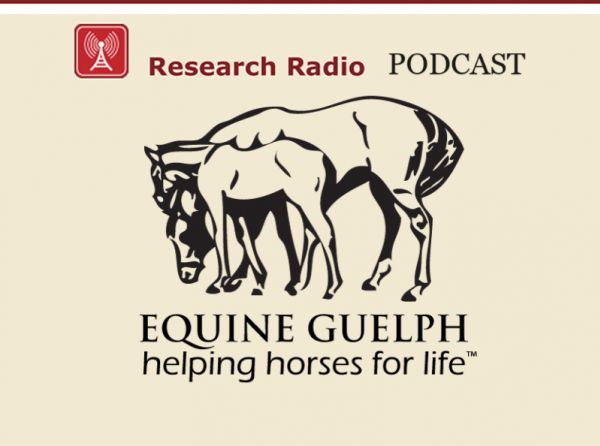 horse podcasts, research radio equine guelph, removing ticks from horses, equine guelph, how to get rid of a tick on my horse