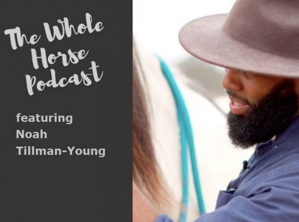 whole horse podcast, best horse podcasts, best equine podcasts, noah tillman young, steady horse llc, fearless rider formula