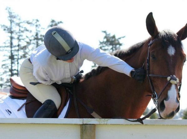 the relatable rider, horse blog, equine blog, april d. ray horse blog, canadian horse journal blog, horsejournals blog