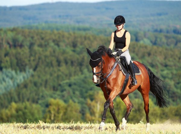 Jec Ballou, horse trainer, jec aristotle ballou, western dressage, jec ballou, dressage exercises for horse and rider, equine fitness