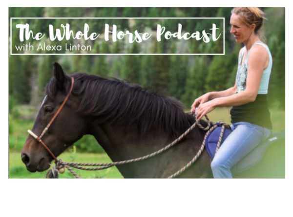 heather nelson horse training, alexa linton horse, whole horse podcast, training injured horse