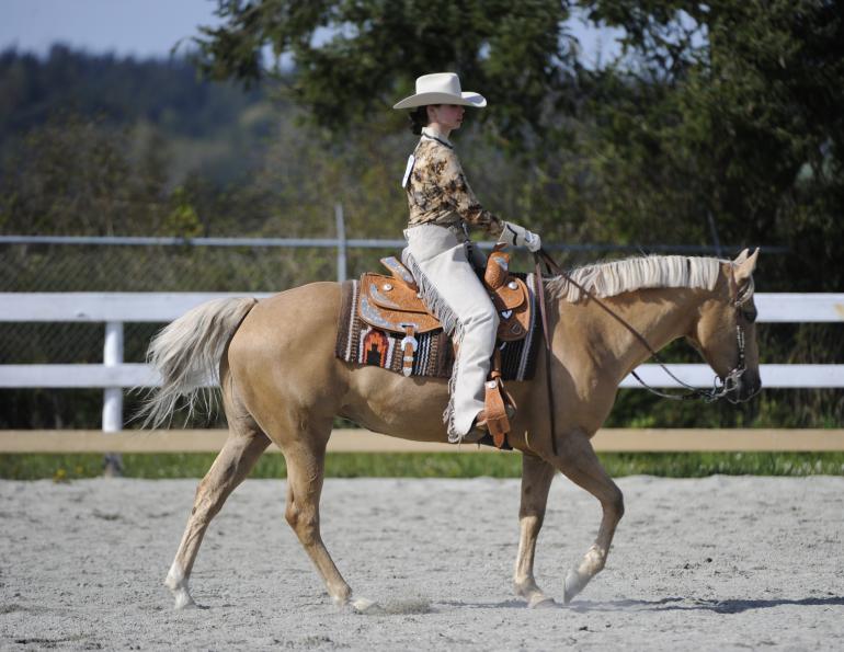 horse rider psychology, mental horse riding traps, improve horse riding focus, April Clay