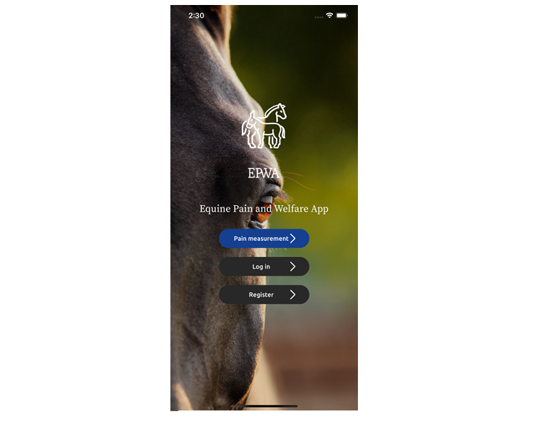 Equine Pain and Welfare App | Horse Journals