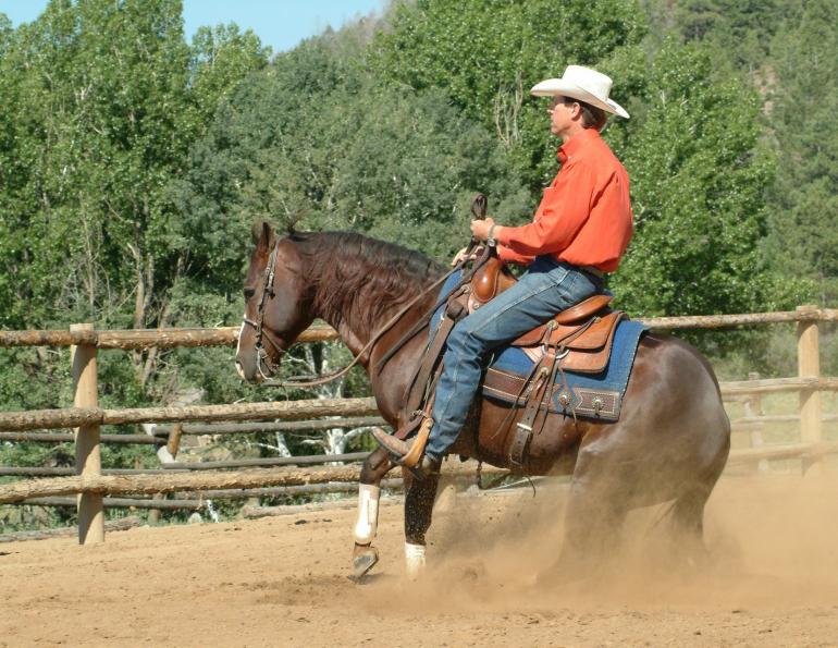outgrowing your horse, finding perfect horse, Parelli Natural Horsemanship, Pat Parelli, horse buying tips, perfect equine partner
