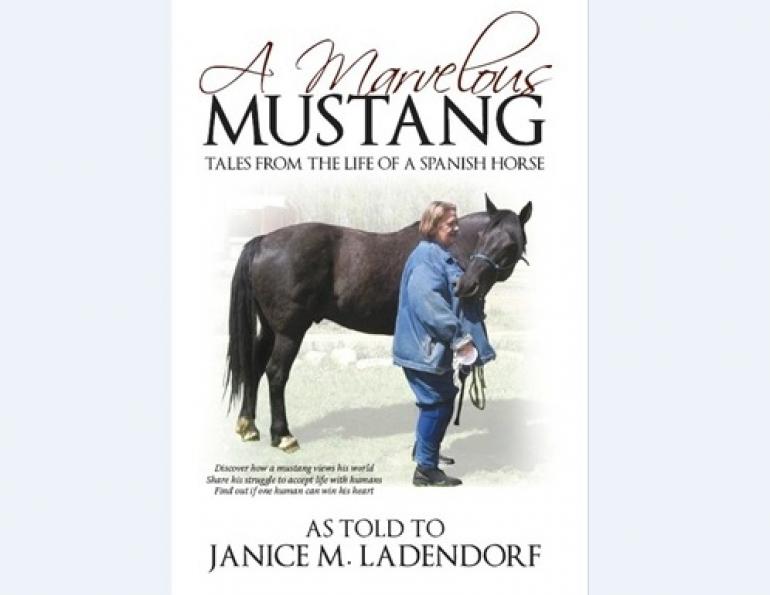 A Marvelous Mustang: Tales from the Life of a Spanish Horse