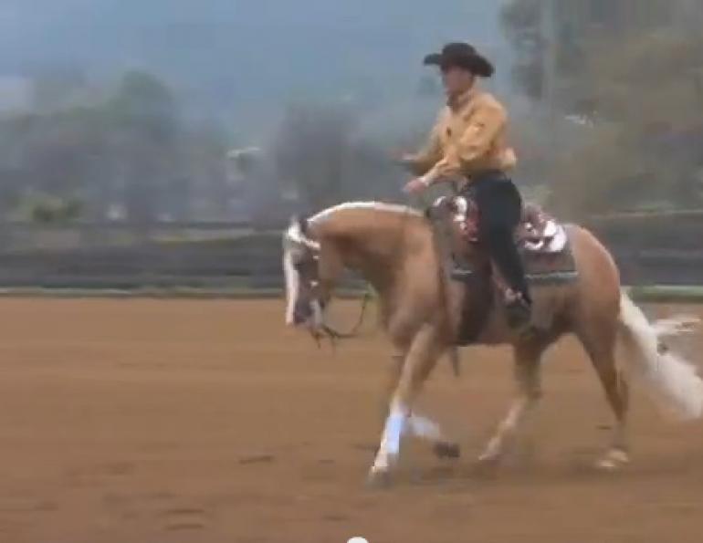 Reining 101 with Andrea Fappani