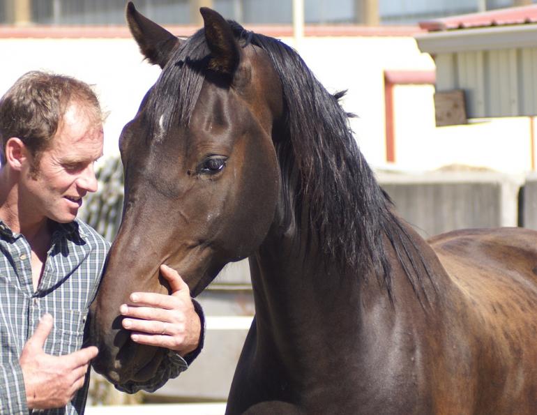 Will Clinging, solving horse behavioural issues, overcoming equine behaviour issues, equine psychology