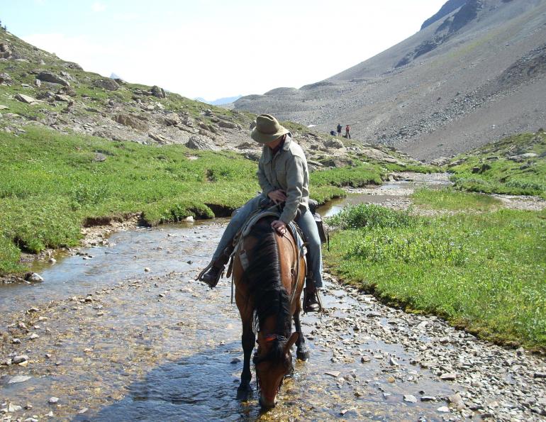 Stan Walchuk Jr, Equine Preparation trail riding, horse trail riding, Saddle Bag Trail Gear