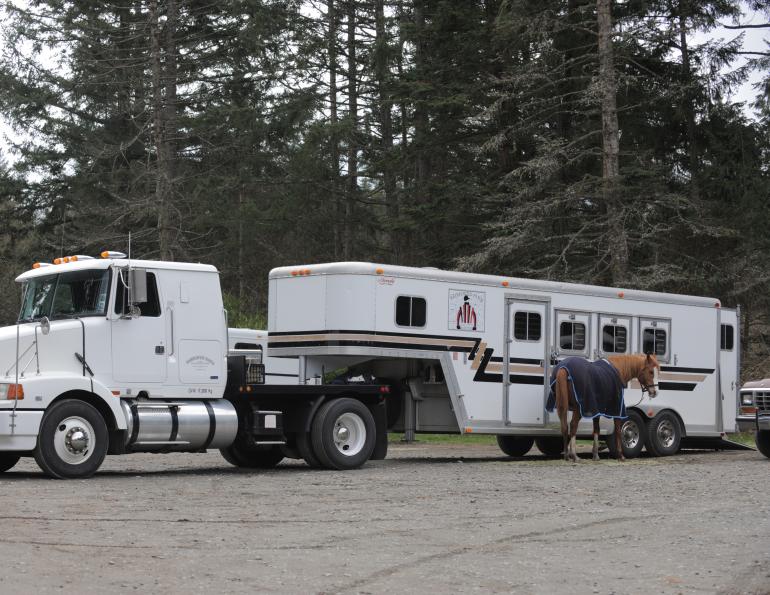Kevan Garecki, horse trailer safety, safe horse transport, horse care