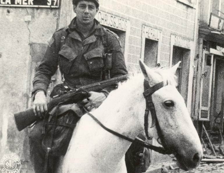 war horse, horses in war, horses in service, world war two horse, world war one horse