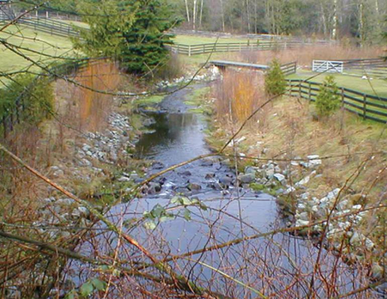 stream Horse Property, water horse acreage, waterway, leps, langlen environmental, bridge horse property, manure maiden