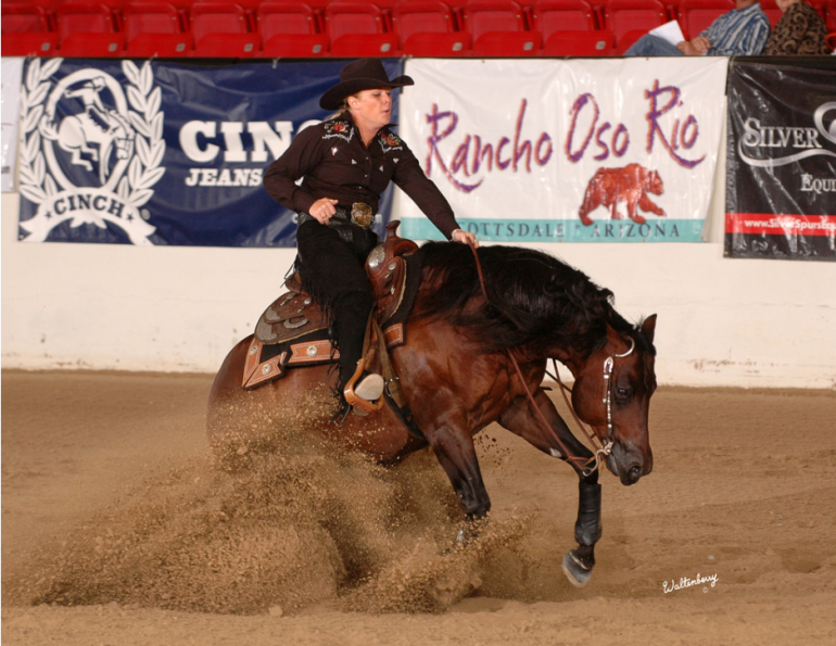 Developing Contact in the Reining Horse