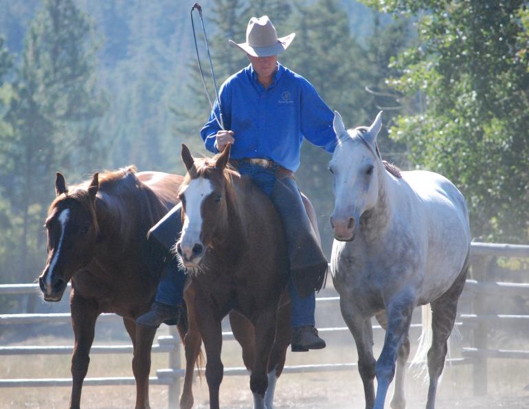 Jonathan Field, herd bound horse, horse training, natural horsemanship, actively helping your horse become calm and relaxed 