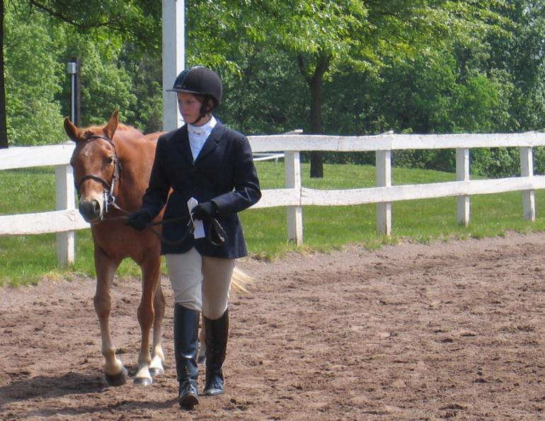 A Willing Trot in Showmanship
