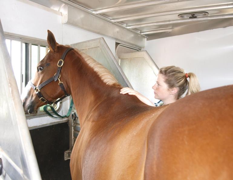 horse trailer sizes, buying a horse trailer, what size horse trailer do i need, kevan garecki