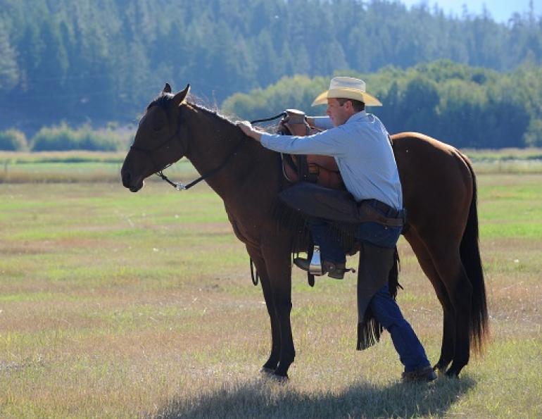  Jonathan Field, Natural Horsemanship, Mounting a Horse, Mounting a Green Horse, Horse Behaviour