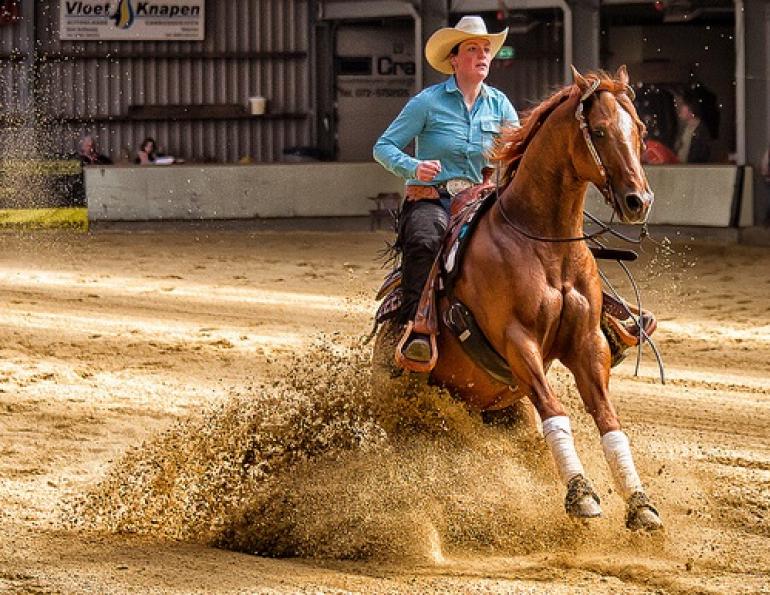 rhythm horse, cadence horse, reining horse balance, loping the oval reining exercise, lyle jackson horse reiner