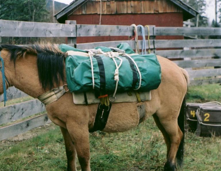 horse camping, packing for horseback trip, packing for horse trail ride, stan walchuk jr