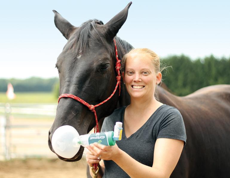 aerohippus, equine inhalers, how to treat a horse with asthma, equine asthma medications, my horse has asthma, drugs for horse asthma