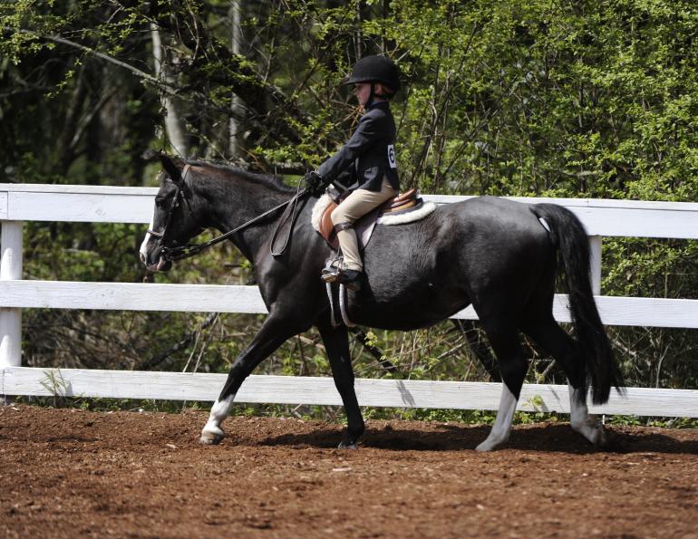 novice horse riders, find someone ride your horse, improve riding skills, lindsay grice