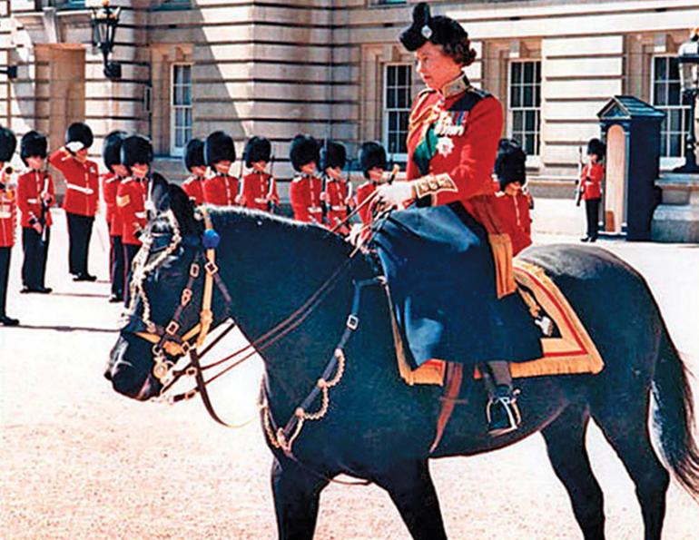 Remarkable canadian Horse Burmese, Burmese horse, great canadian horse, Canada’s 150 anniversary, Queen Elizabeth II burmese horse