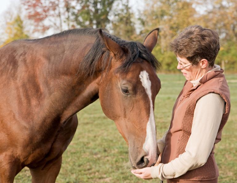 equine gastric ulcers, equine oral supplements, horse supplements, horse nutraceuticals, equine nutraceuticals. Shelley Nyuli, Sciencepure Nutraceuticals, Ralph Robinson, Herbs for Horses, equine joint, equine digestion