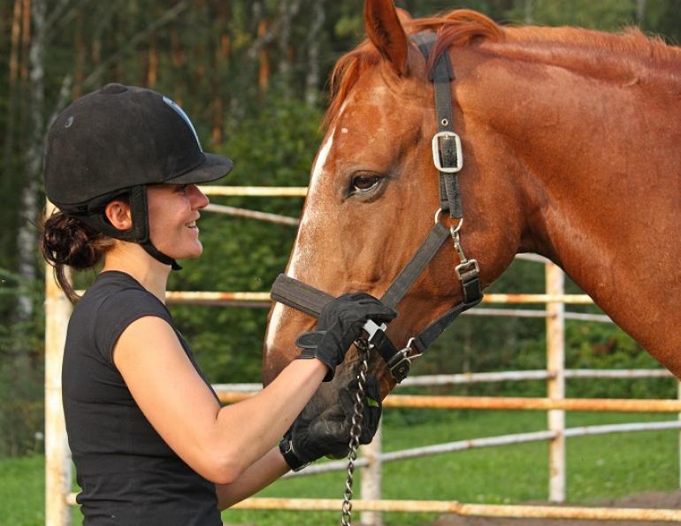 equestrian riding helmets