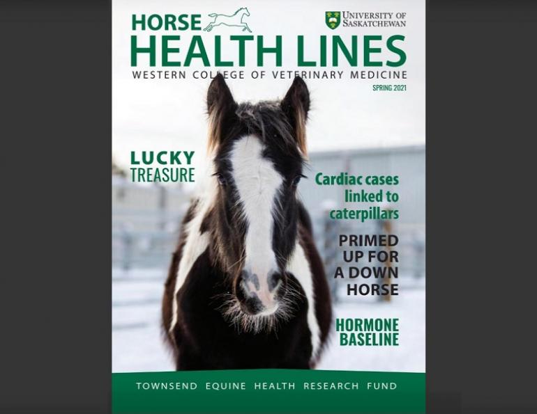 wcvm horse health lines 2021, western college of veterinary medicine equine, horse studies university of saskatchewan