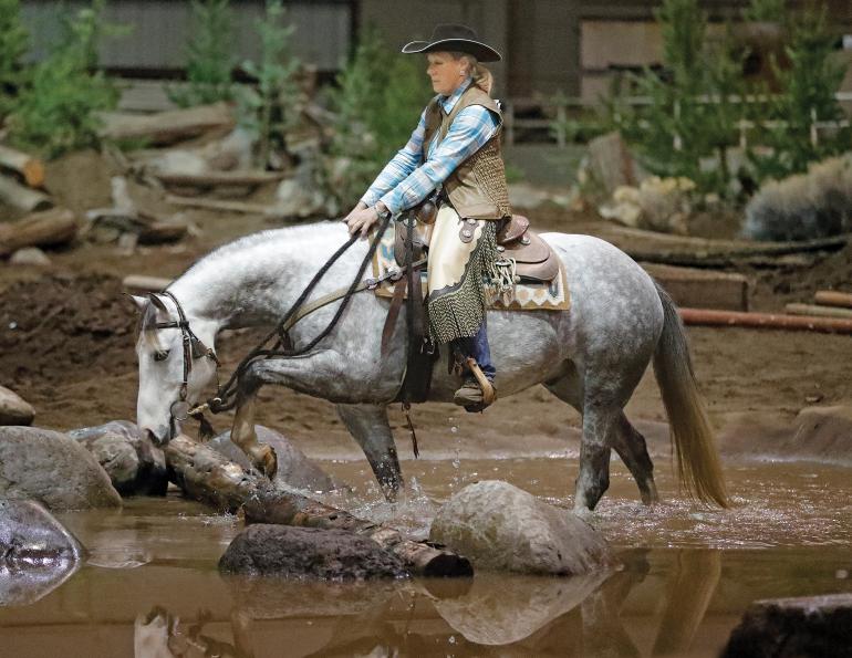 Riding centre with cheap rider and horses