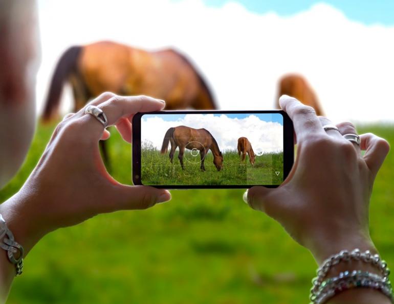 marketing instagram equestrians, equestrian online media, how often to post instagram