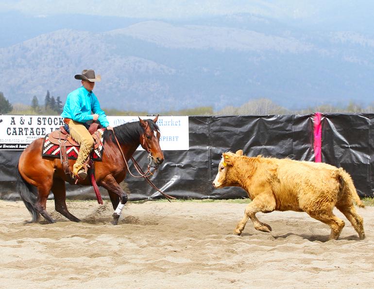 grain-free diet for horses, should horses be grain free? how to feed a horse a grain-free diet, hay analysis how to, should i get my hay analyzed? madeline boast equine nutritionist, nutrient requirements horses, carbohydrates for horses, diet active horses, diet easy keeper horses