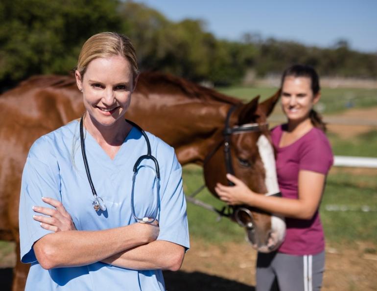 equine pre-purchase exam, how to buy a horse, how to exam a horse for purchase, horse pre-purchase exam, selling a horse pre-purchase exam, pre-purchase vet check horse