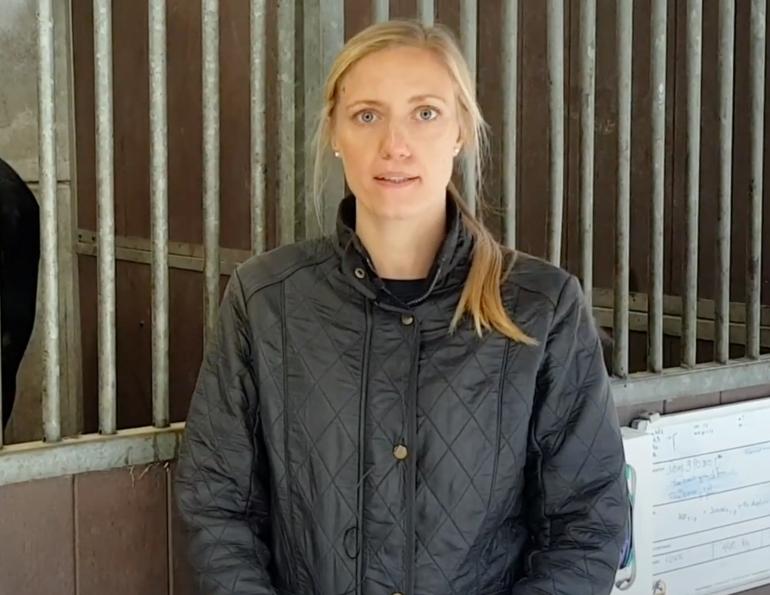 honey in  horse surgery, colic operation horses, equine colic, horse infection honey, dr kajsa gustafsson large animal medicine and colic, equine science update mark andrews