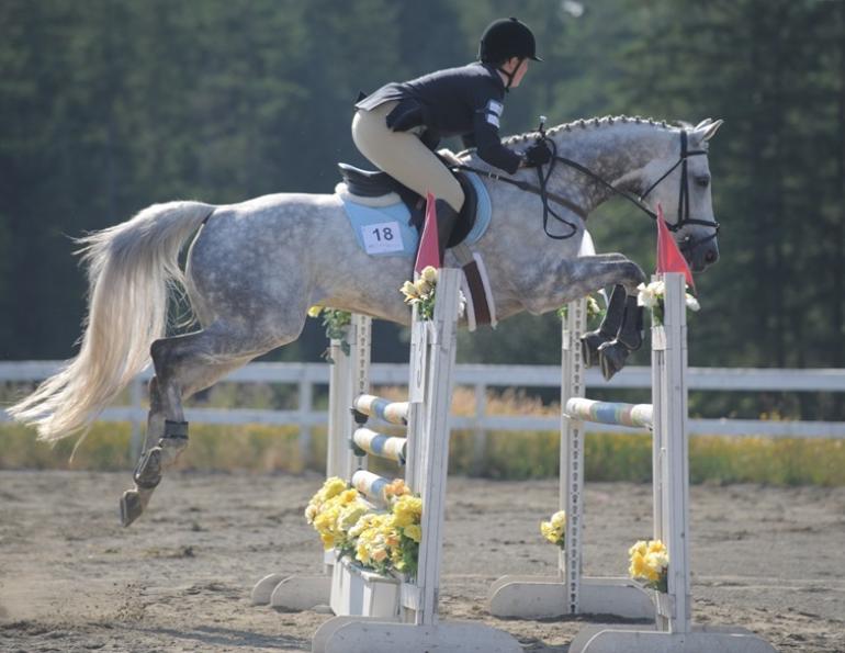 Lindsay grice answers, showing hunter under saddle and equitation, how to prepare to start horse over fences