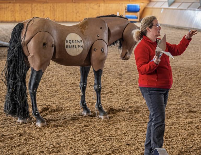 dr susan raymond, equine guelph equine research, horse commuity heroes, exceptionally horse people canada, large animal rescue courses ontario, canada horse rescue courses