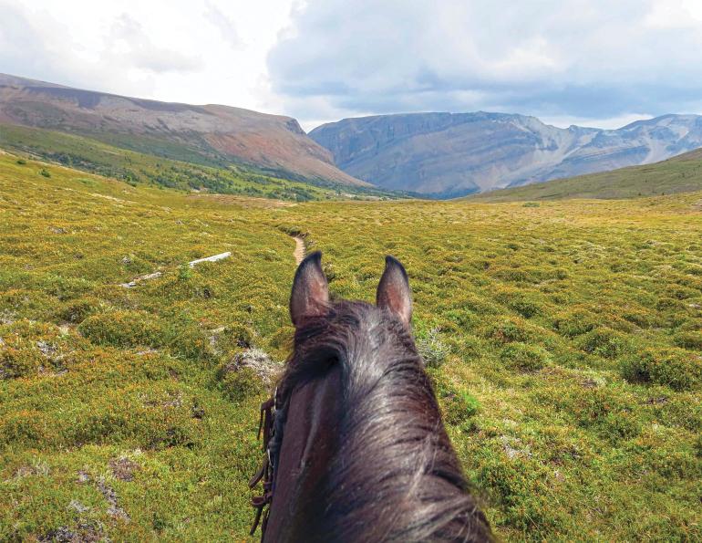 Campgrounds with horseback outlet riding near me