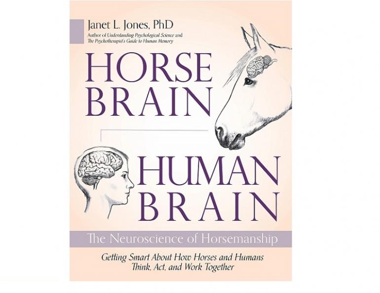 horse brain human brain book janet l jones, psychology on horses, neuroscience horsemanship