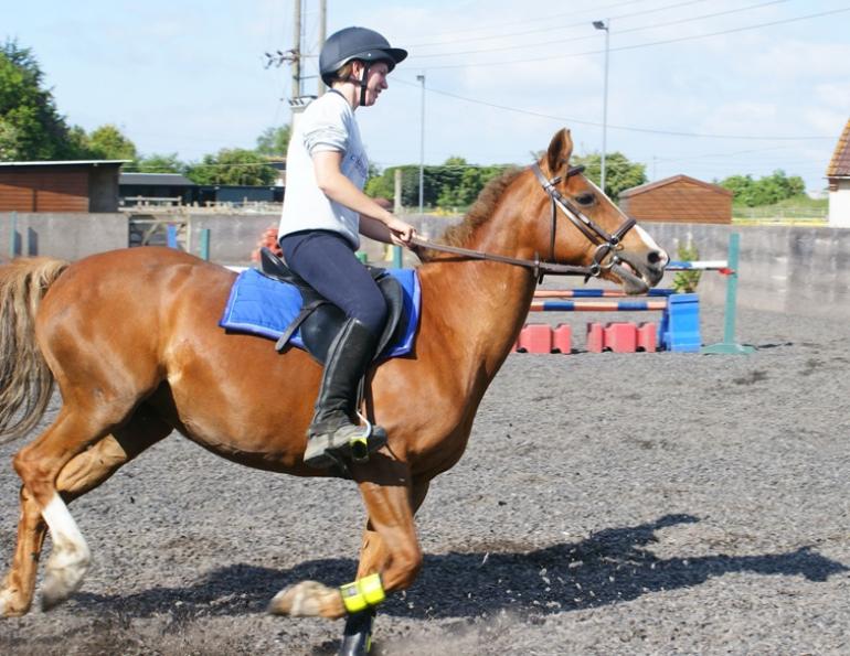 hard-mouth horses, equine hard mouth problems, sore equine mouth, equine hard mind, overcoming equine hard mouth, overcoming equine hard mouth, teaching the headstrong horse